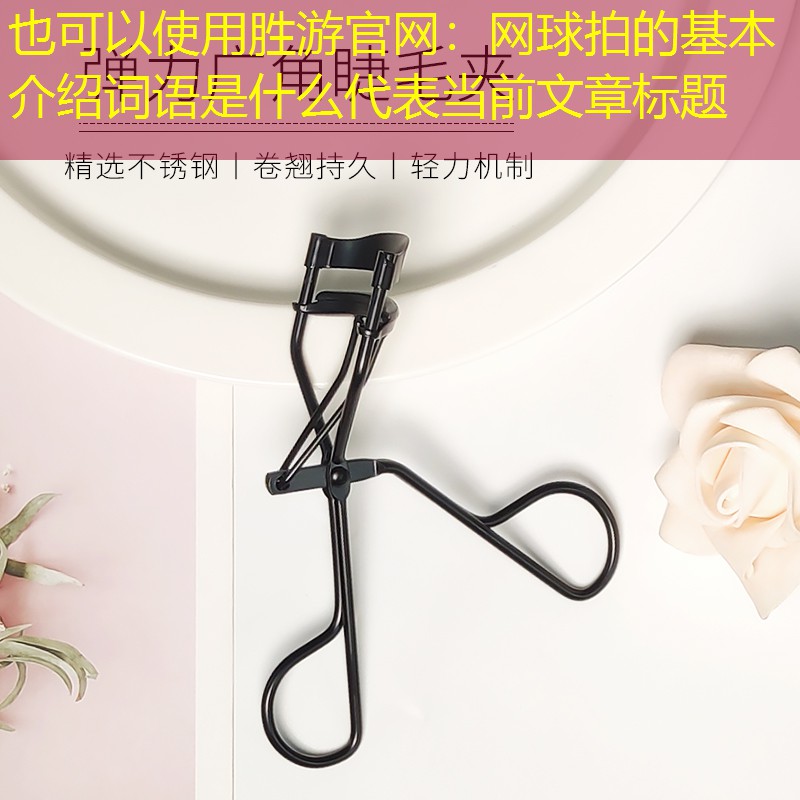 胜游官网：网球拍的基本介绍词语是什么