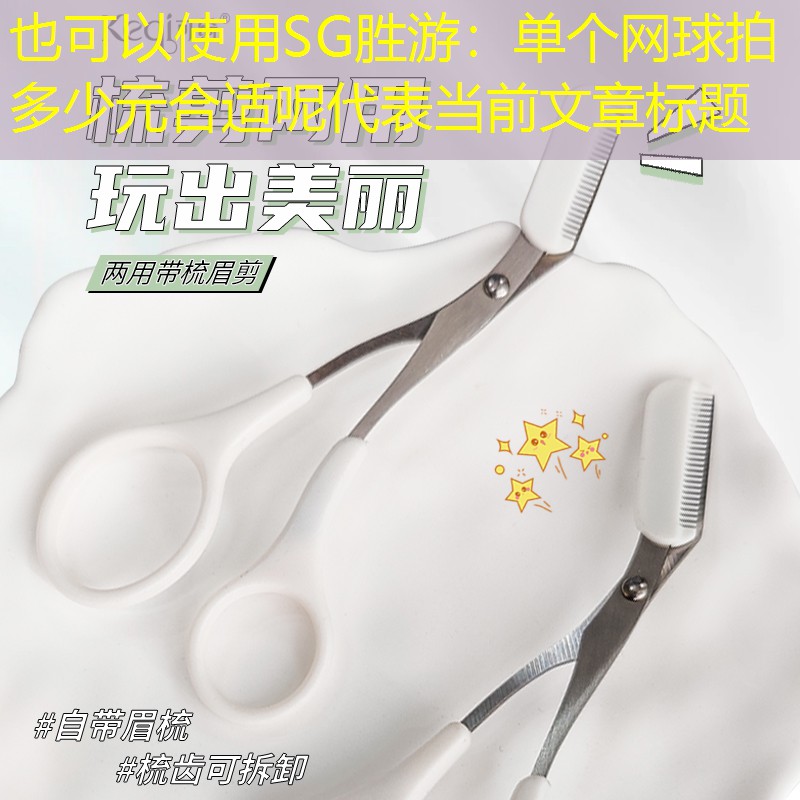 SG胜游：单个网球拍多少元合适呢