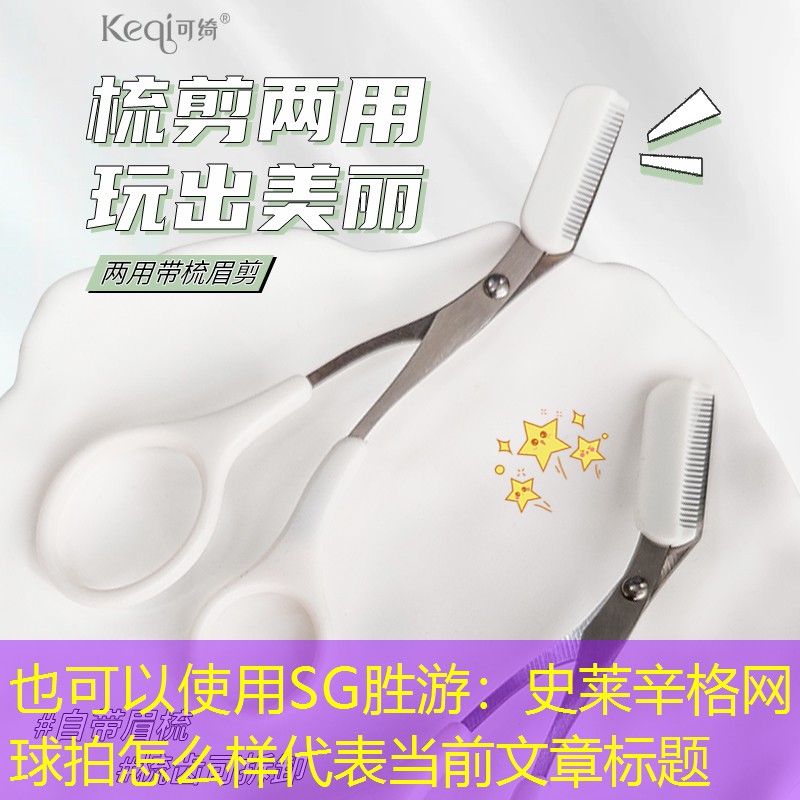 史莱辛格网球拍怎么样