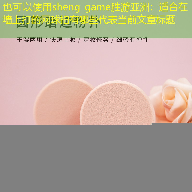 适合在墙上打的网球拍有哪些